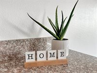 13701 Kristina Street, Williston, ND 58801