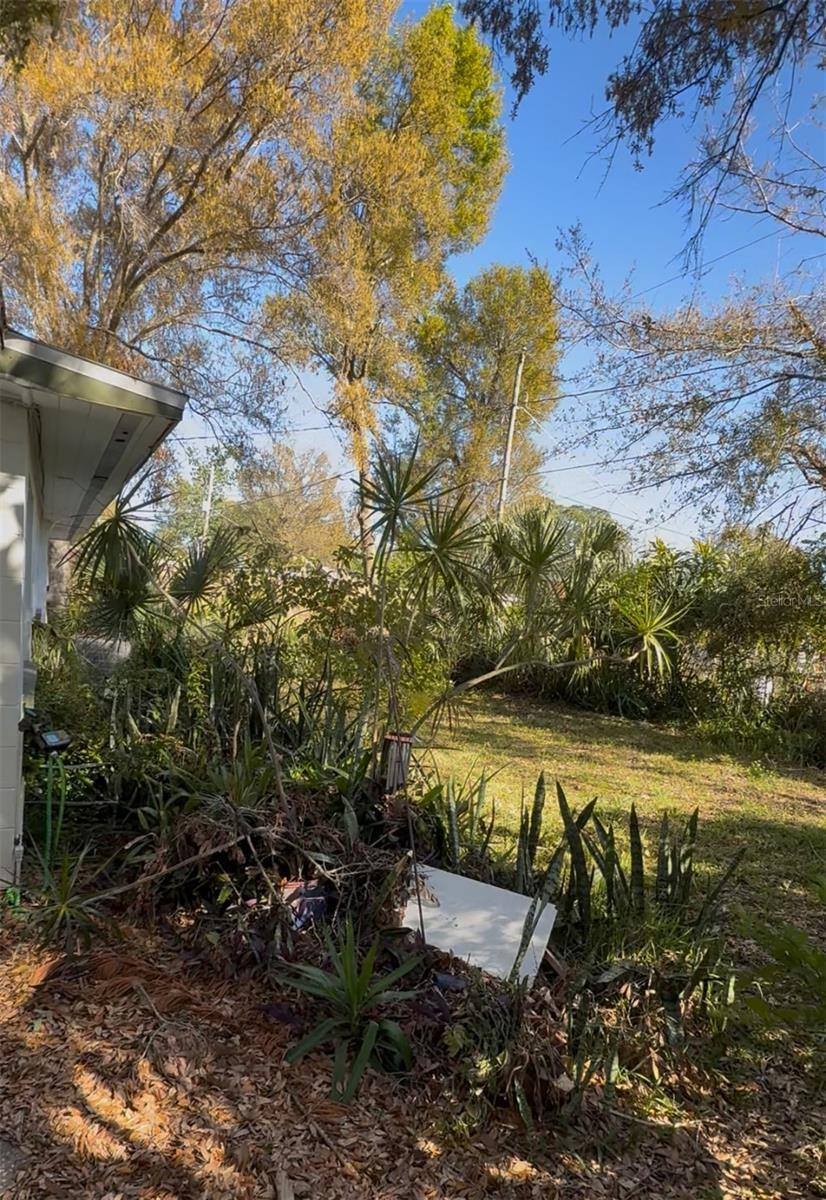 3416 West Ellicott Street, Tampa, FL 33614