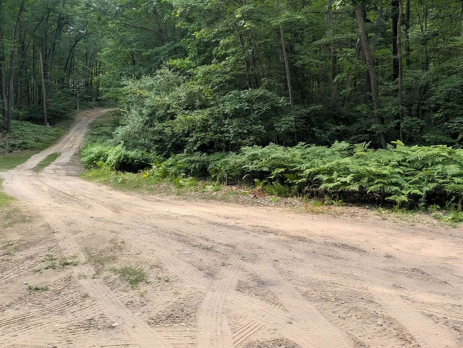 L495&496 Scout Drive, Roscommon, MI 48653