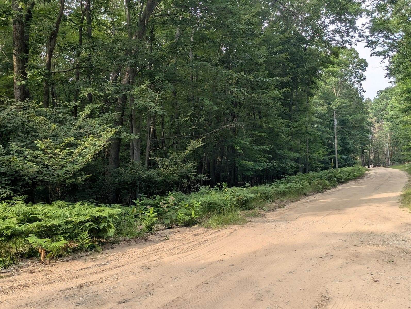 L495&496 Scout Drive, Roscommon, MI 48653