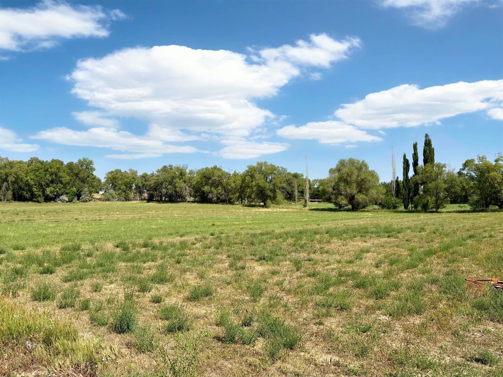 2590 Galley Lane, Grand Junction, CO 81505