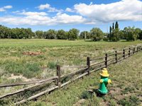 2590 Galley Lane, Grand Junction, CO 81505