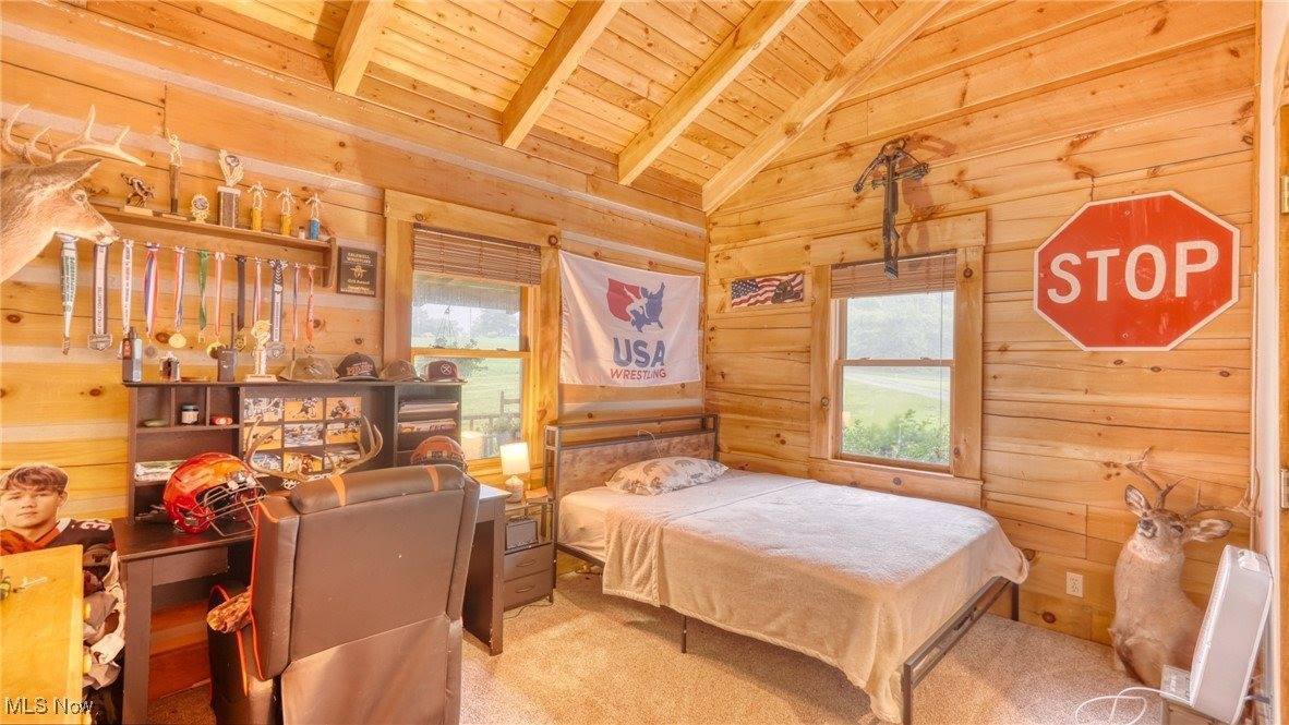 48820 Hillcrest Drive, Caldwell, OH 43724