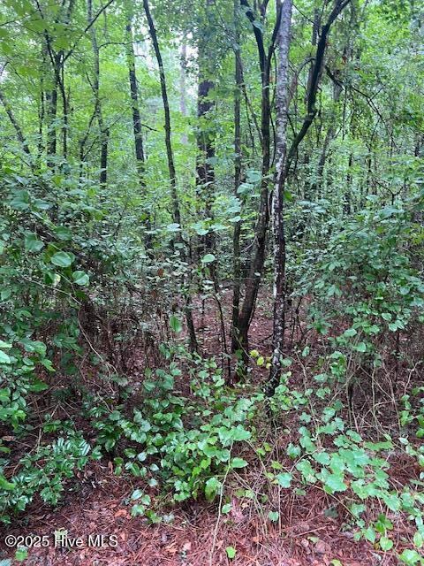 00 Loop Road Road, Harnett County, NC 28323