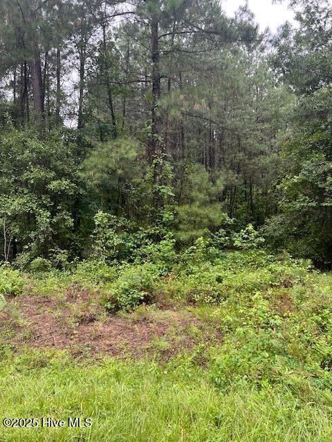 00 Loop Road Road, Harnett County, NC 28323