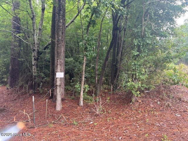 00 Loop Road Road, Harnett County, NC 28323