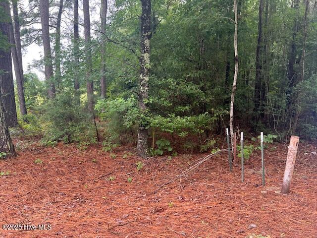 00 Loop Road Road, Harnett County, NC 28323