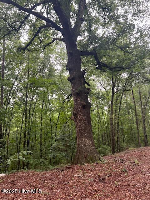 00 Loop Road Road, Harnett County, NC 28323