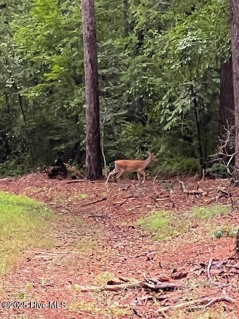 00 Loop Road Road, Harnett County, NC 28323