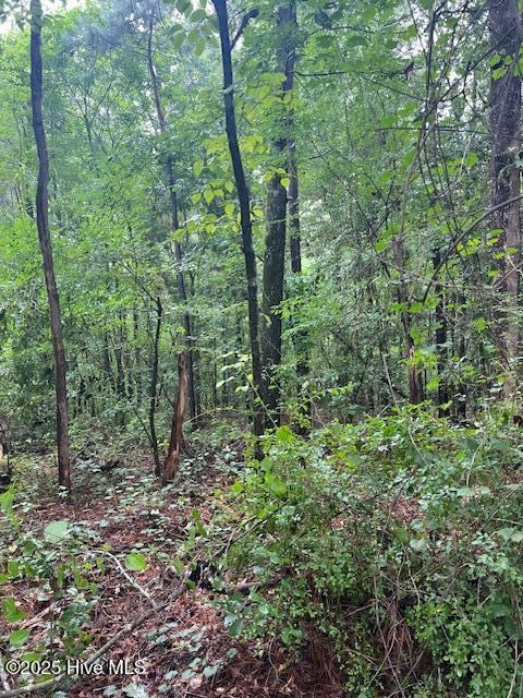 00 Loop Road Road, Harnett County, NC 28323