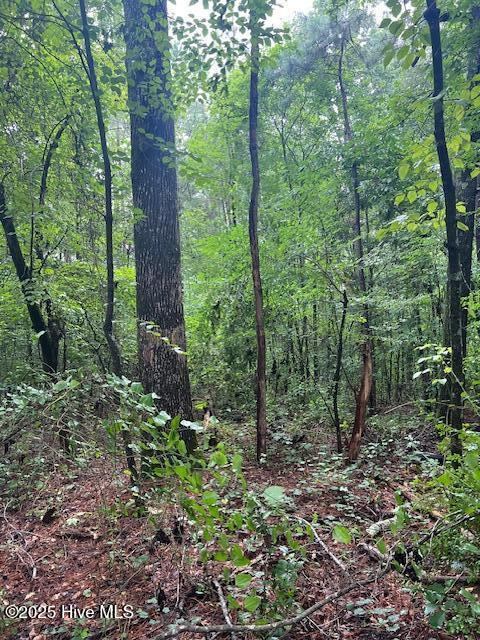 00 Loop Road Road, Harnett County, NC 28323