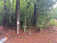 00 Loop Road Road, Harnett County, NC 28323