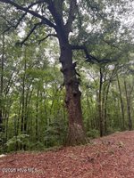 00 Loop Road Road, Harnett County, NC 28323