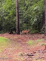 00 Loop Road Road, Harnett County, NC 28323