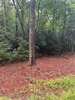 00 Loop Road Road, Harnett County, NC 28323