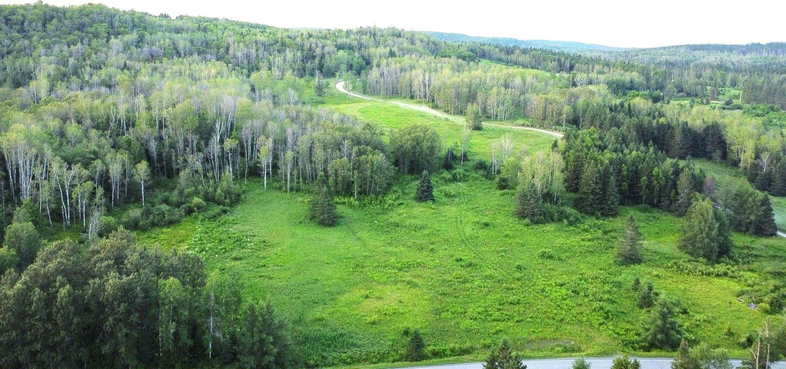 Lot 75 Brisse Culotte Road, Saint Agatha, ME 04772