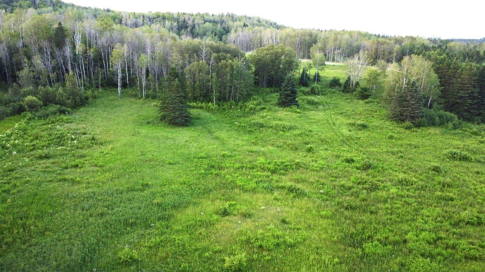 Lot 75 Brisse Culotte Road, Saint Agatha, ME 04772