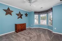 313 Beltrees, Lexington, SC 29072