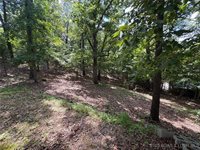 1389 Chimney Point, Sunrise Beach, MO 65079