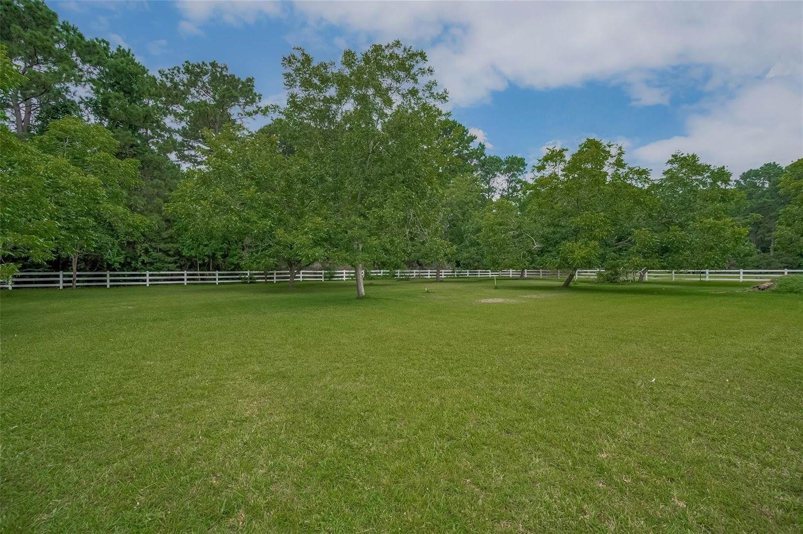 22102 Timber Ridge Drive, Magnolia, TX 77355