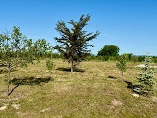 369 Jefferson Street, Kalispell, MT 59901