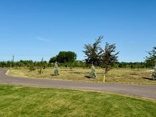 369 Jefferson Street, Kalispell, MT 59901