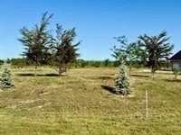 369 Jefferson Street, Kalispell, MT 59901