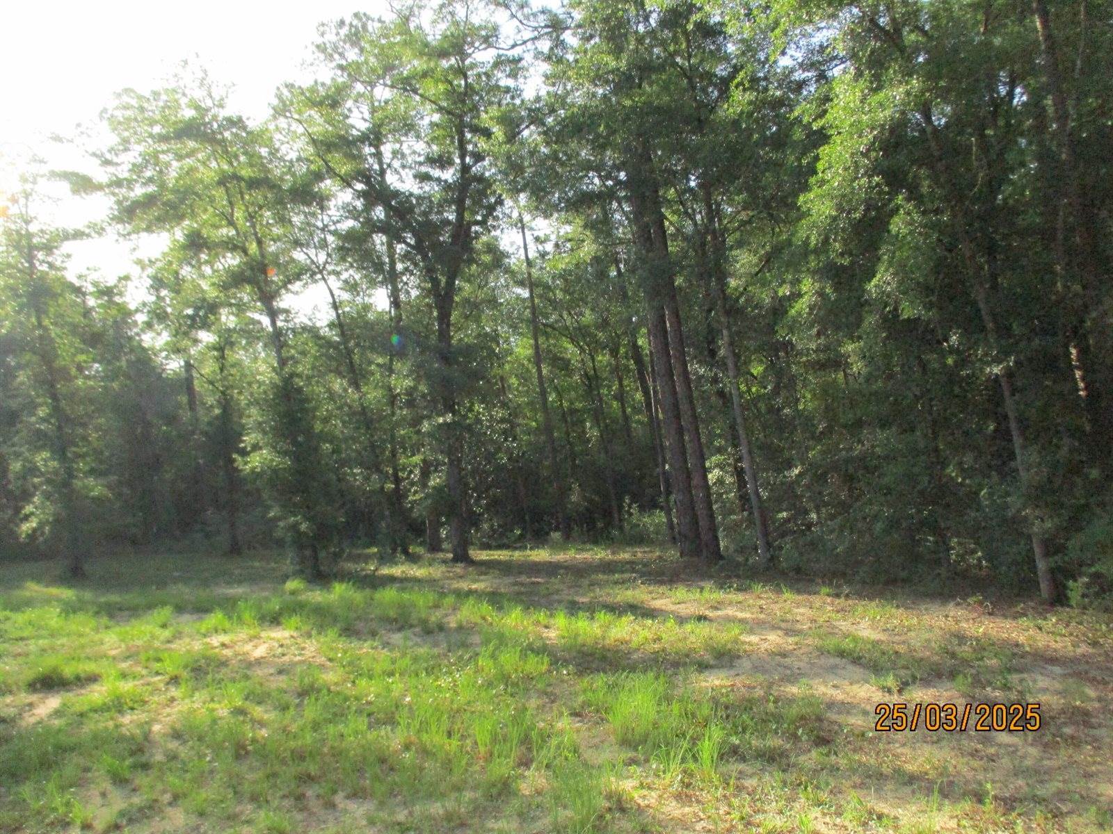 5410 Fawn Lake Road, Crestview, FL 32539