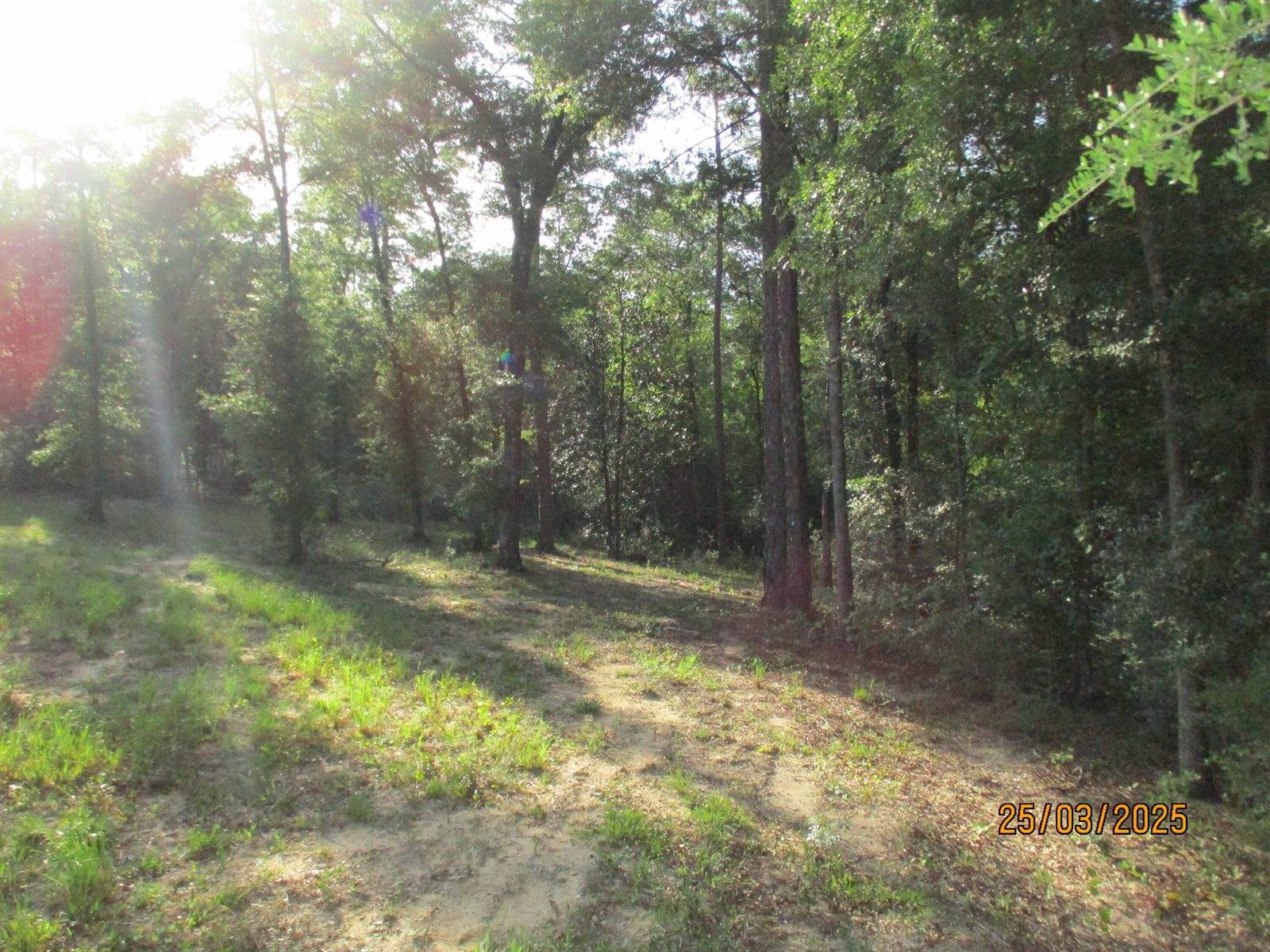 5410 Fawn Lake Road, Crestview, FL 32539