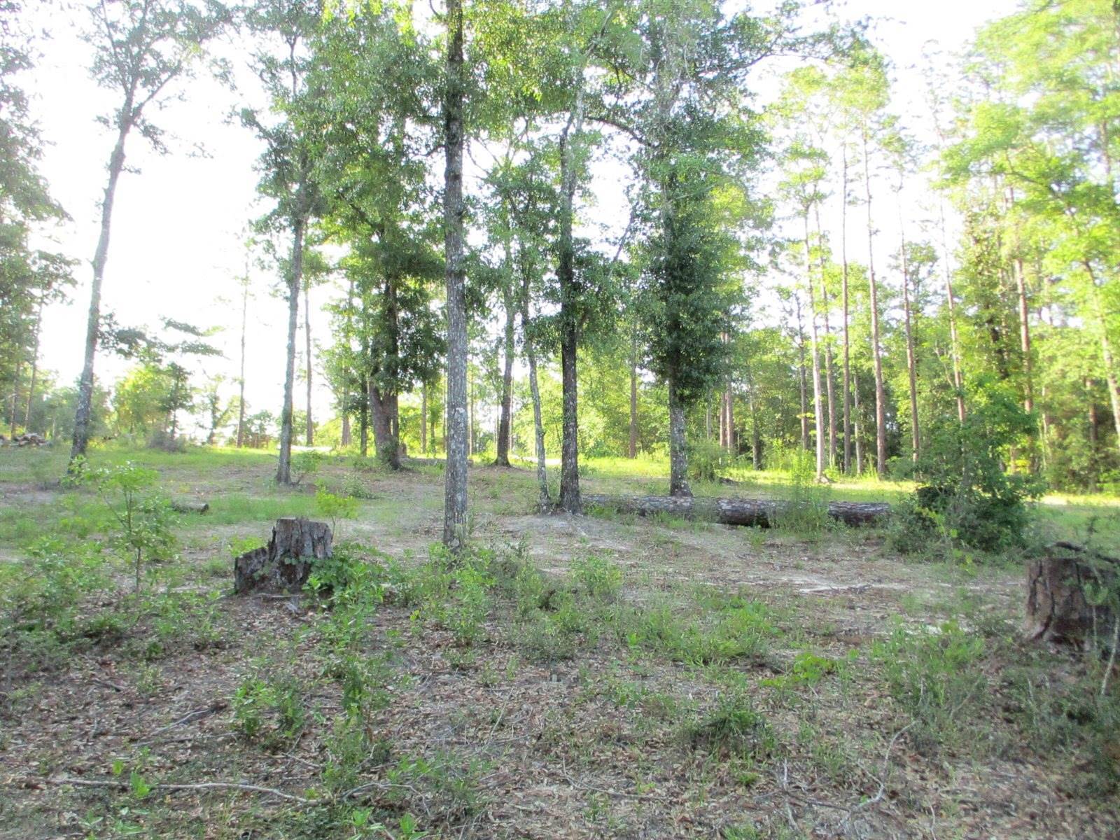 5410 Fawn Lake Road, Crestview, FL 32539
