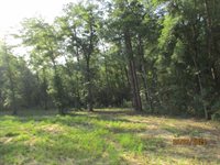 5410 Fawn Lake Road, Crestview, FL 32539