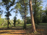 5410 Fawn Lake Road, Crestview, FL 32539