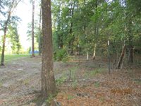 5410 Fawn Lake Road, Crestview, FL 32539