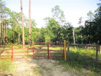 5410 Fawn Lake Road, Crestview, FL 32539
