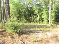 5410 Fawn Lake Road, Crestview, FL 32539