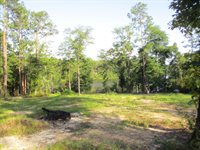 5410 Fawn Lake Road, Crestview, FL 32539