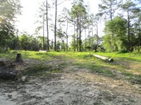 5410 Fawn Lake Road, Crestview, FL 32539