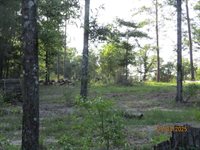 5410 Fawn Lake Road, Crestview, FL 32539