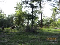 5410 Fawn Lake Road, Crestview, FL 32539