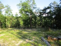 5410 Fawn Lake Road, Crestview, FL 32539