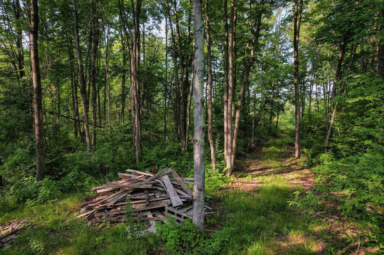 Lot 15 SCOUT TRAIL, Ojibwa, WI 54862