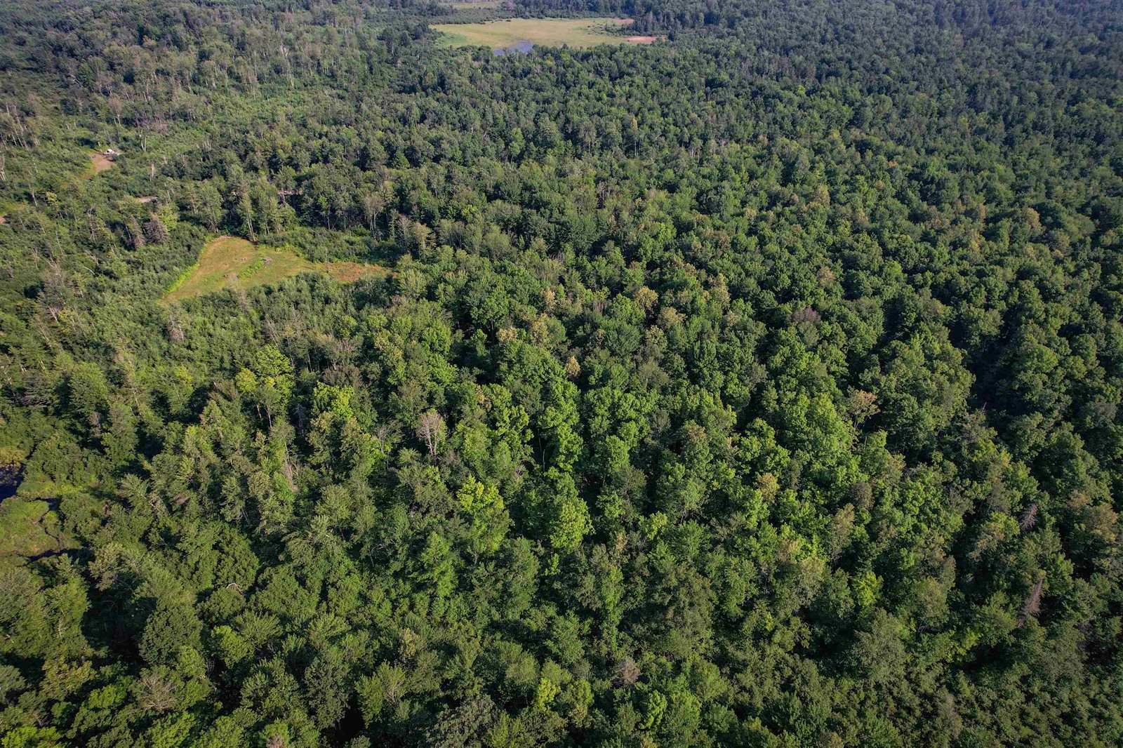 Lot 15 SCOUT TRAIL, Ojibwa, WI 54862