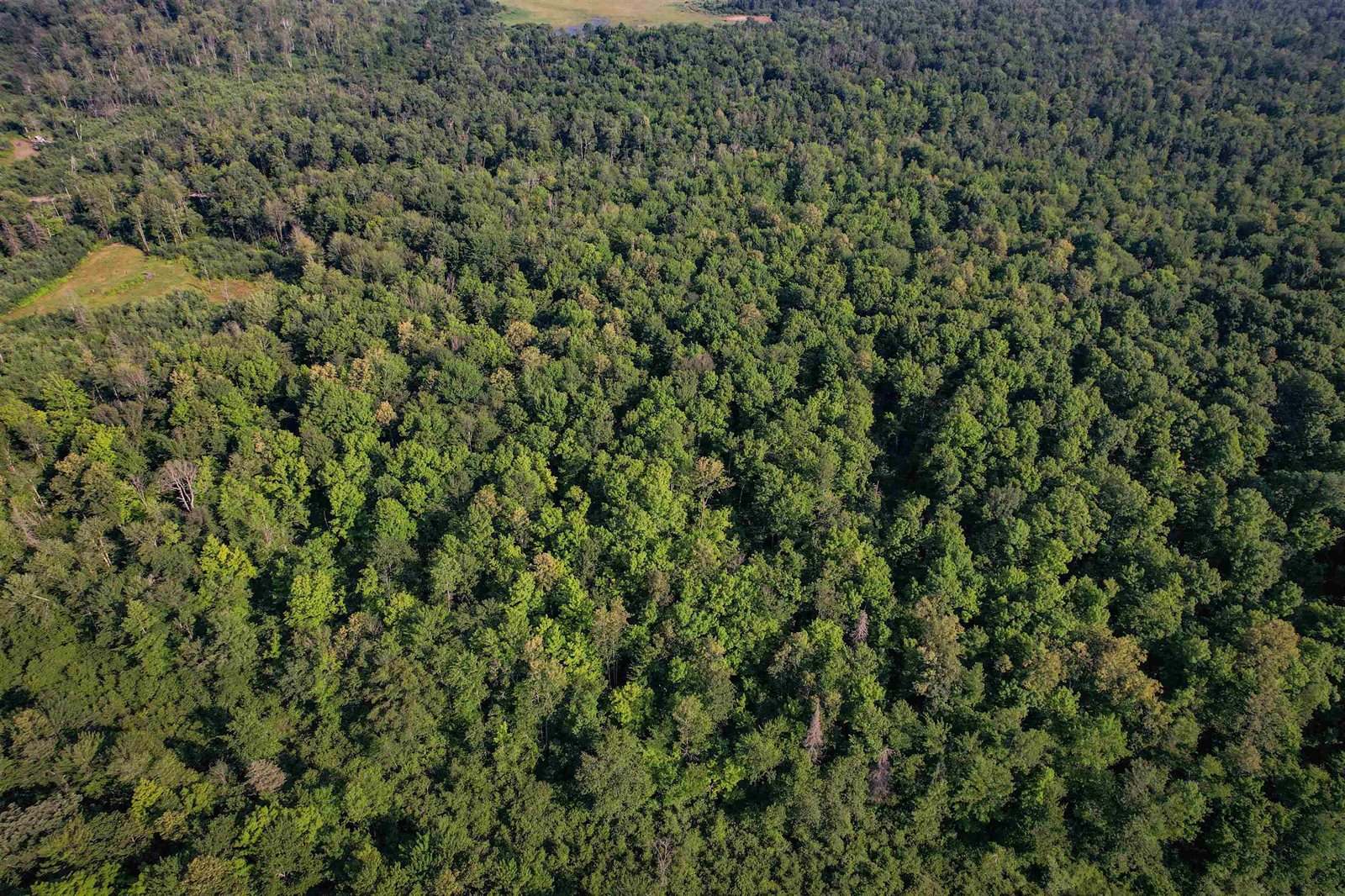 Lot 15 SCOUT TRAIL, Ojibwa, WI 54862