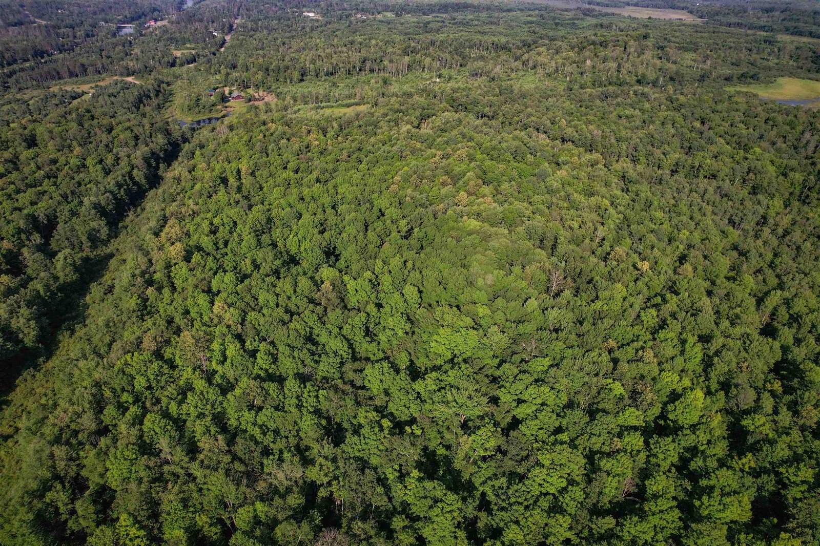 Lot 15 SCOUT TRAIL, Ojibwa, WI 54862