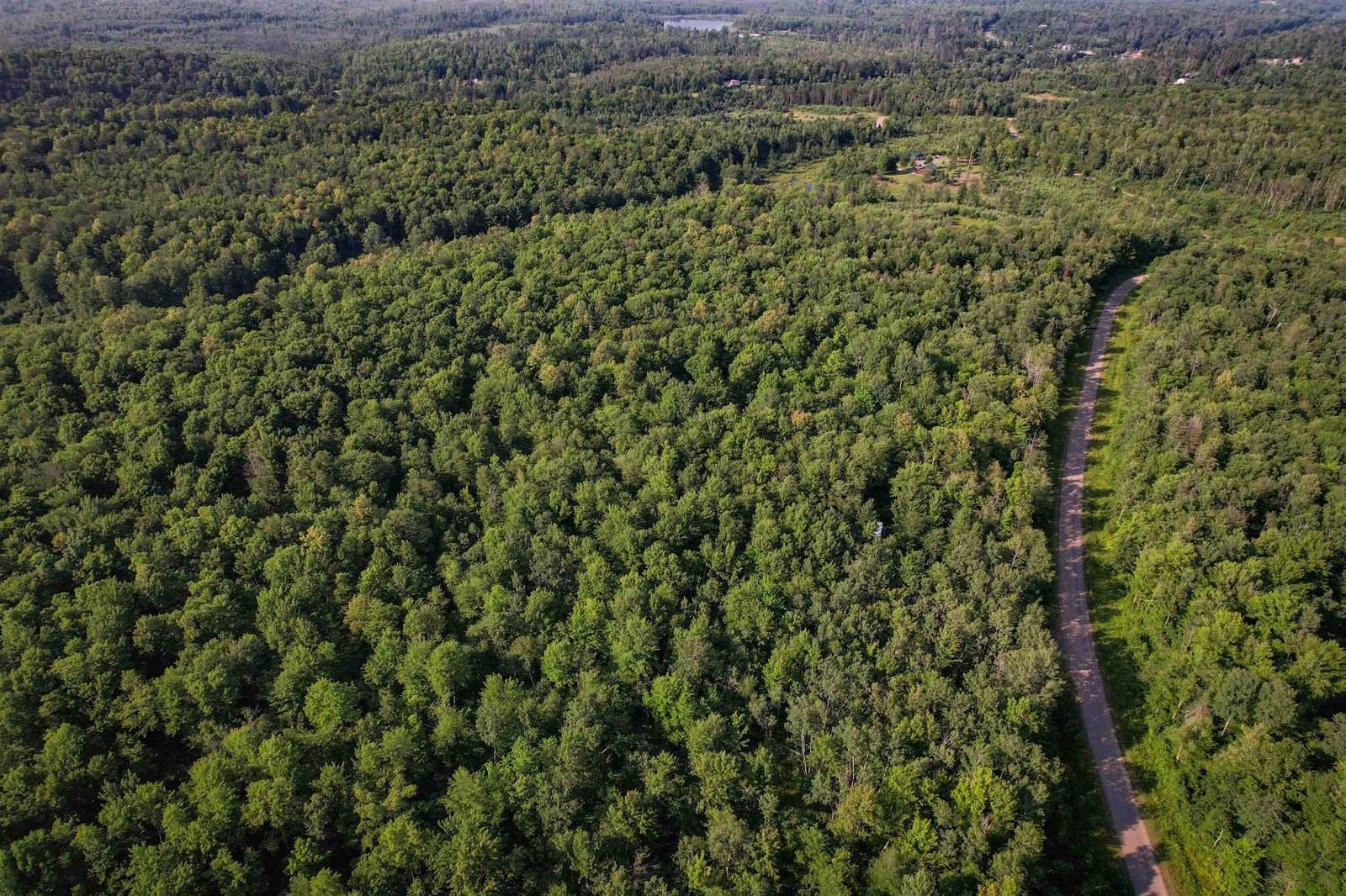 Lot 15 SCOUT TRAIL, Ojibwa, WI 54862