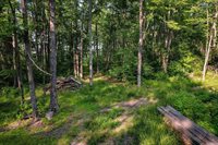 Lot 15 SCOUT TRAIL, Ojibwa, WI 54862