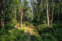 Lot 15 SCOUT TRAIL, Ojibwa, WI 54862
