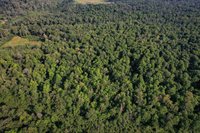 Lot 15 SCOUT TRAIL, Ojibwa, WI 54862