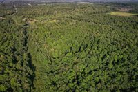 Lot 15 SCOUT TRAIL, Ojibwa, WI 54862