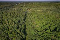 Lot 15 SCOUT TRAIL, Ojibwa, WI 54862